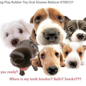 🐈🐕 Durable Interactive Treat Dispensing Small Dog or Cat Toy